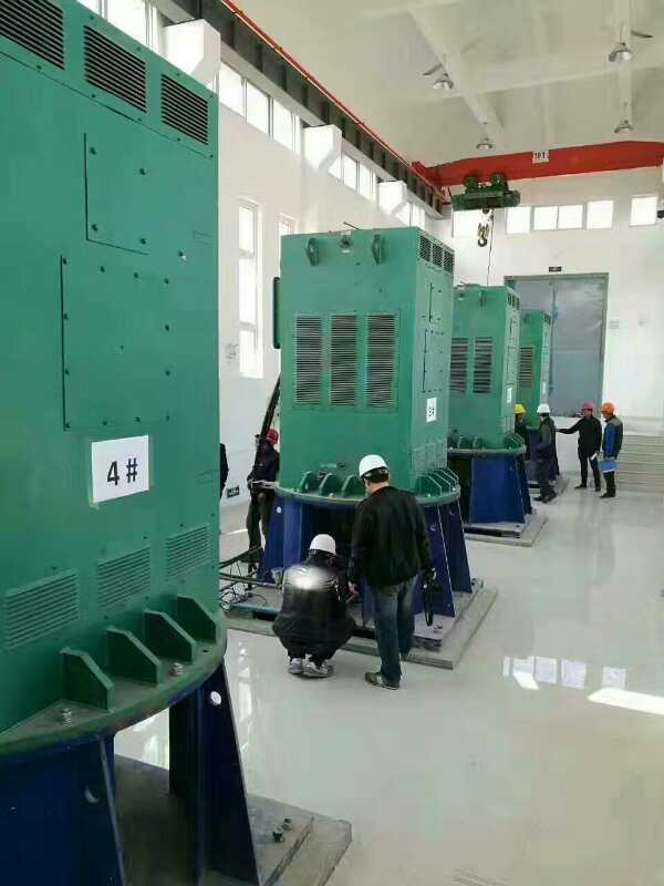 YKK4004-2-280KW某污水处理厂使用我厂的立式高压电机安装现场